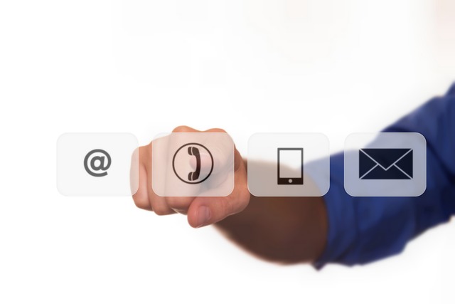 W czym jest witamina B12