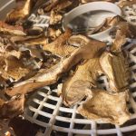 dehydrator