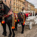 Kraków atrakcje