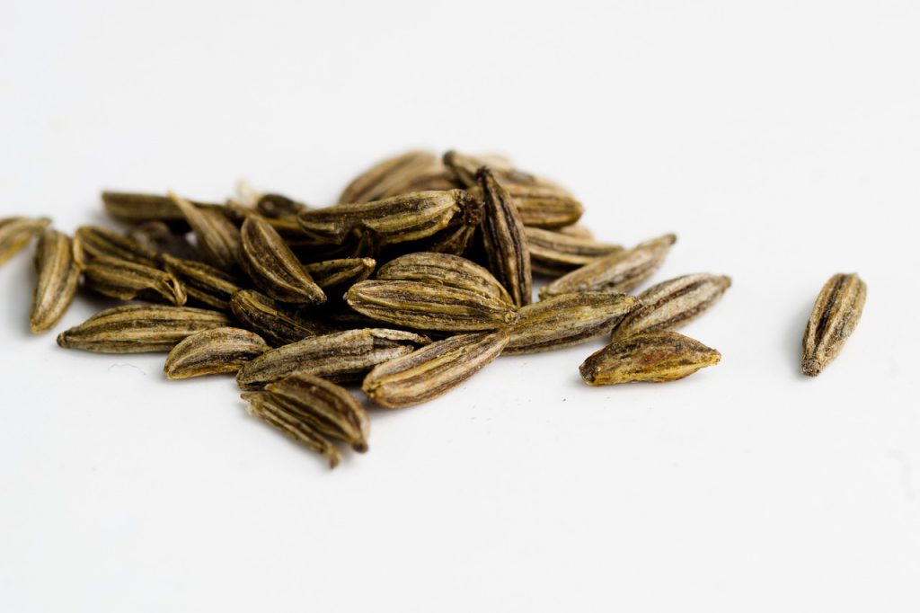 Kmin rzymski właściwości