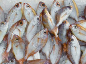 Czym zastąpić ryby w diecie