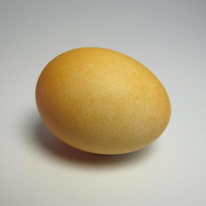 Ile gram białka ma jajko?