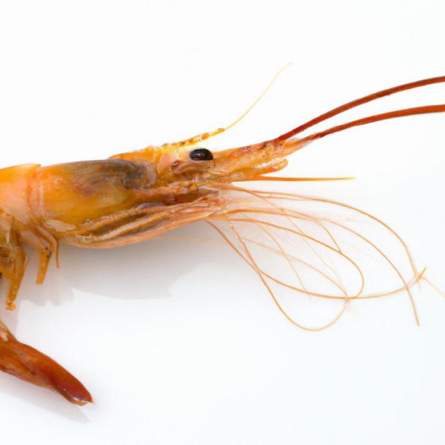 Krewetki to kwestia smaku – co warto o nich wiedzieć?